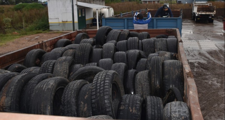 Lobos: Se llevó a cabo la recolección de neumáticos que serán reutilizados 