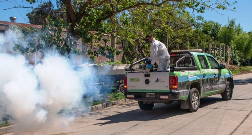 San Fernando: El Municipio previene el dengue y los mosquitos durante el verano