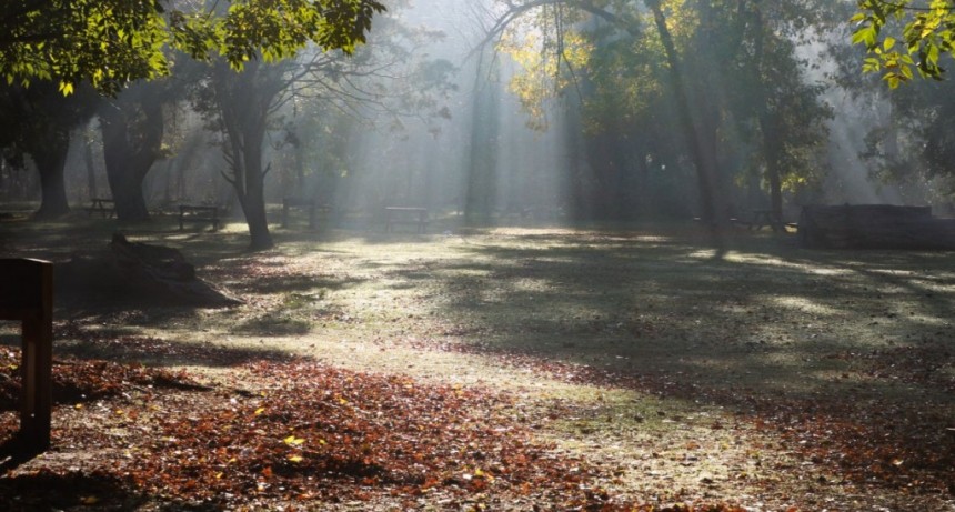 Moreno: El Municipio invita a los vecinos a visitar “Los Robles” 