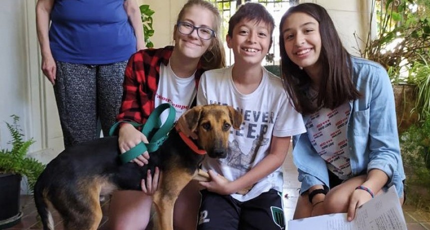 Escobar: R&eacute;cord de adopciones en la Web del Hospital de Zoonosis, 20 mascotas consiguieron hogar