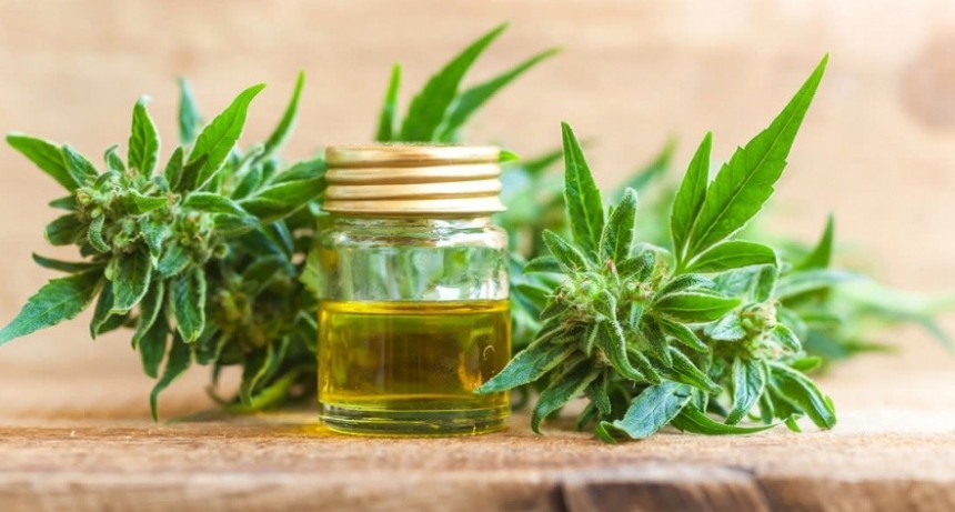 Lorenzino: &ldquo;El Estado debe garantizar el derecho a la salud, porque quienes usan aceite de cannabis merecen una mejor calidad de vida&rdquo;