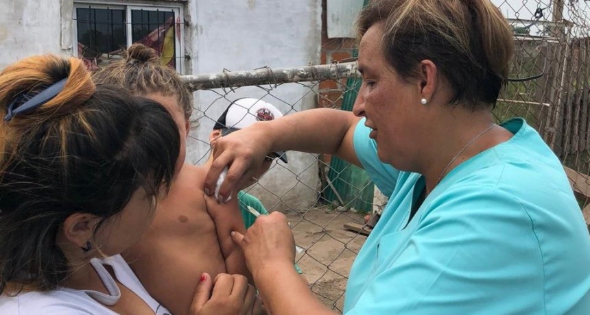 Z&aacute;rate: Las autoridades informaron sobre un caso de dengue de una persona que se contagi&oacute; en Misiones