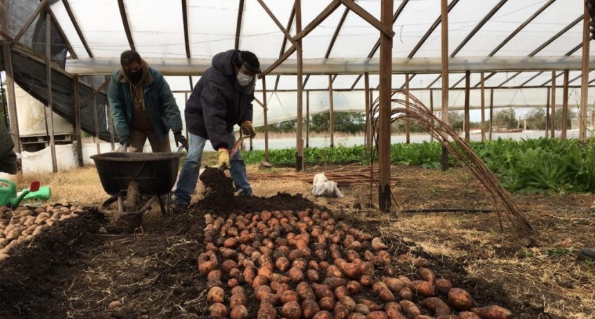 Aníbal Duarte: “Las grandes plantaciones de cítricos han sido remplazadas por la soja, el monocultivo”  