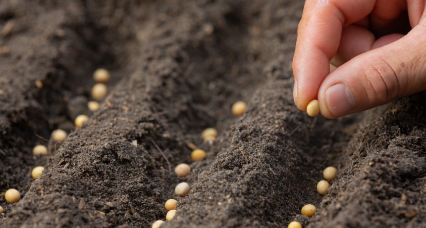 Luj&aacute;n: El programa &ldquo;Huerta en Casa&rdquo; entregar&aacute; semillas agroecol&oacute;gicas