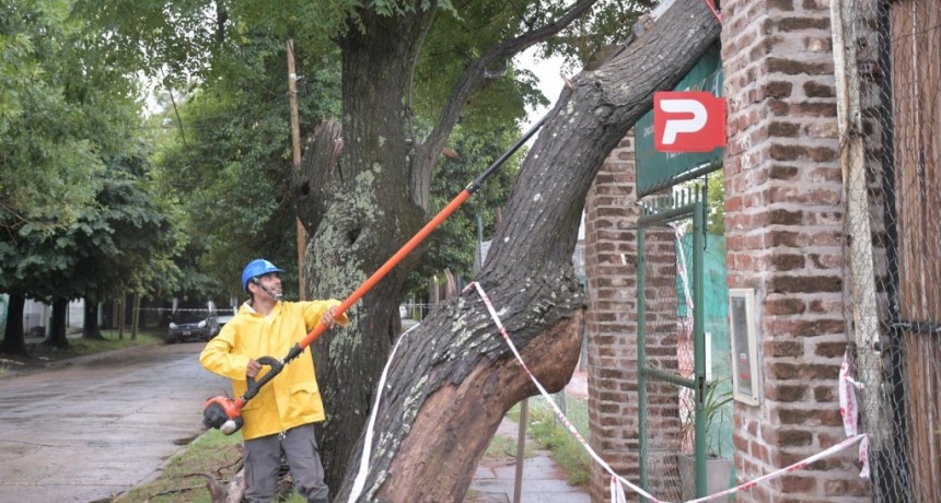 Morón: La Municipalidad desplegó un operativo de rápida respuesta tras el fuerte temporal
