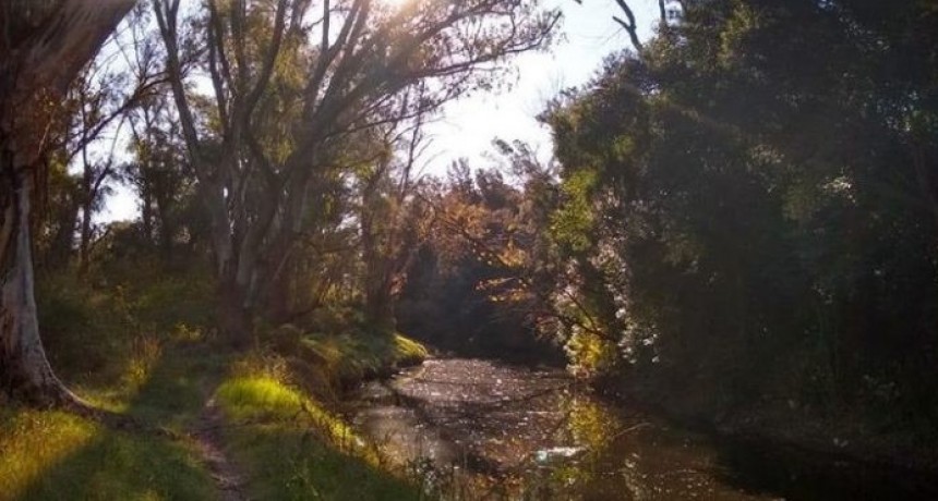 Escobar: Capacitación a trabajadores para proteger la Reserva Natural de Ing. Maschwitz