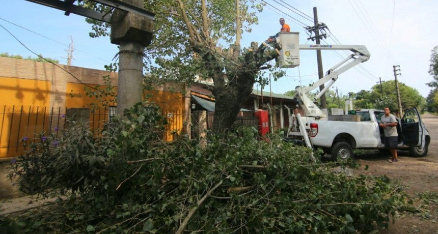 Alejandro Korn: El municipio realiza podas de árboles para mejorar la iluminación