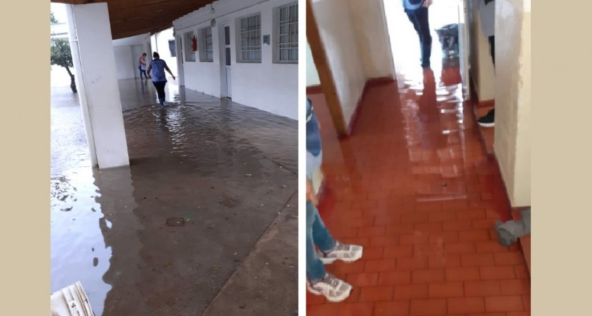 Lincoln: Denuncian al Consejo Escolar por no realizar la limpieza de los desagües del CEC 803 de Pasteur