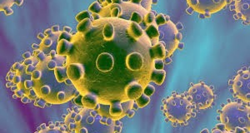 San Vicente: Se informa que no existen casos sospechosos de Coronavirus 