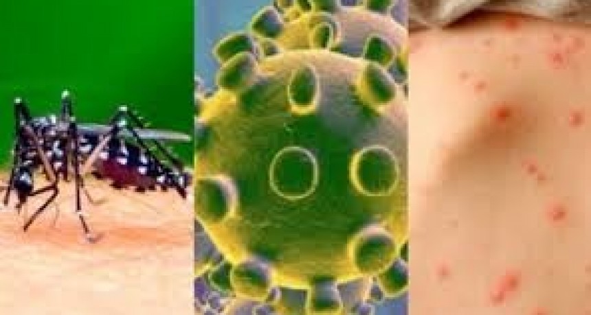 San Vicente: Información sobre casos de Coronavirus y Dengue