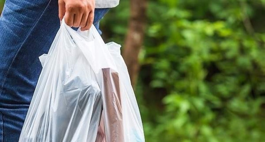 Jacqueline Ramos: “Es alarmante la cantidad de bolsas plásticas que se entregan todos los días en los negocios impunemente”  
