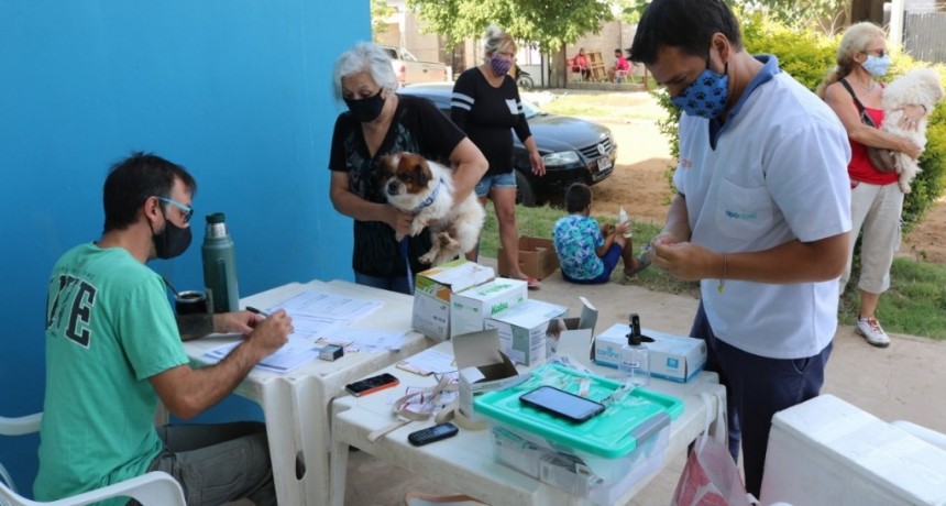 Colón: Está en marcha una campaña de vacunación antirrábica en el distrito 