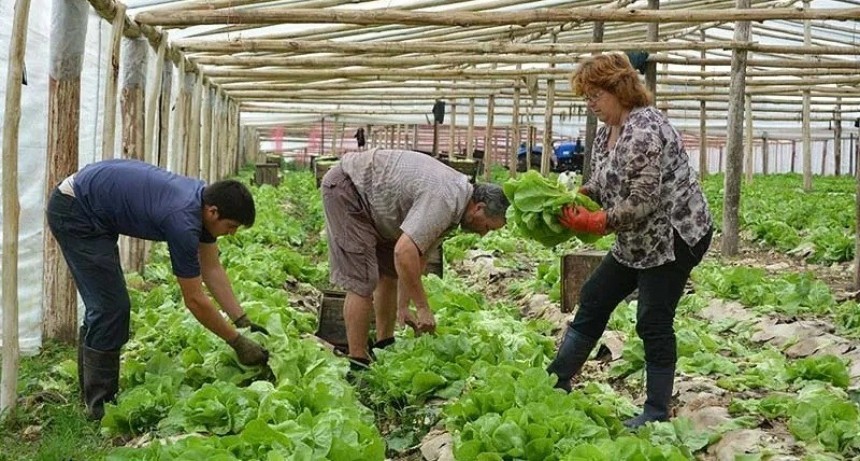 Aníbal Duarte: “La gente del interior vino expulsado por la falta de trabajo, no porque quiere vivir en una ciudad” 