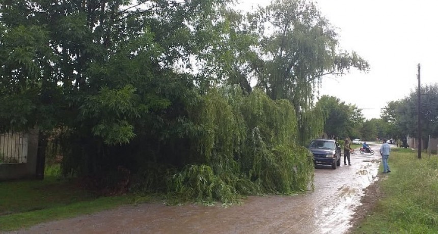 C. de Areco: Tras el temporal, la Municipalidad salió a la calle a ayudar a los vecinos