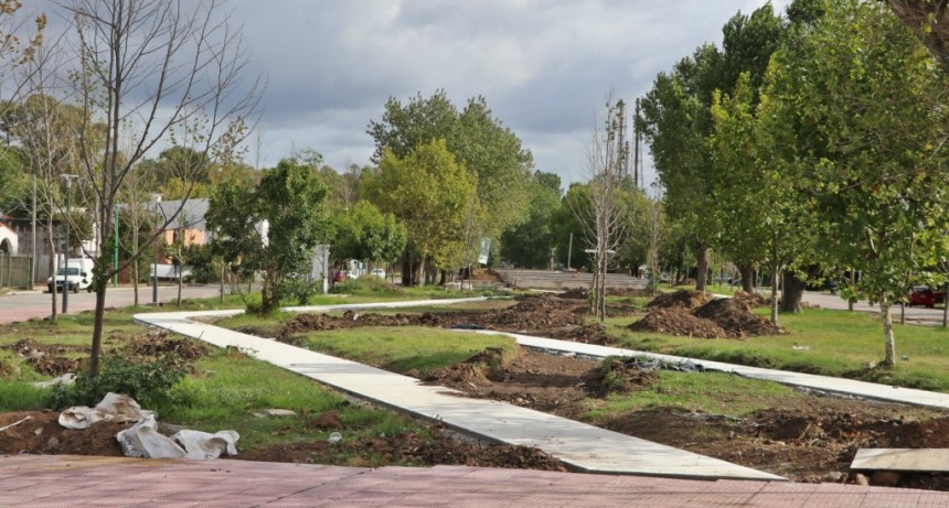 Ensenada: Avanza la remodelación del parque Madres de Plaza de Mayo 