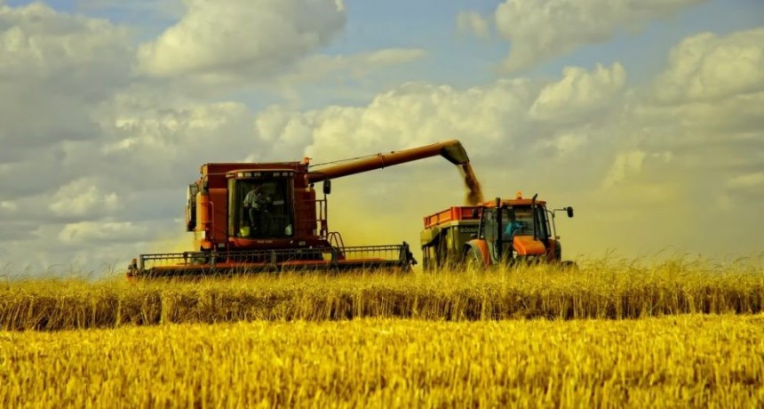 En Gral. Villegas abren un Registro Sanitario para contratistas y trabajadores del campo