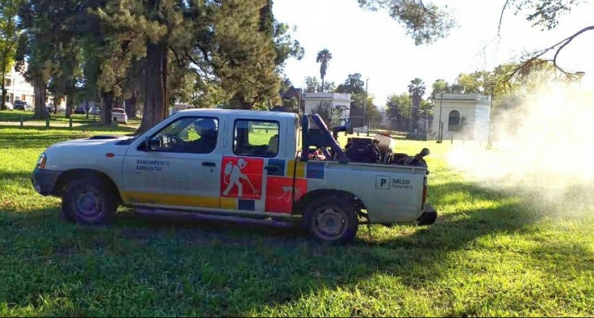 Pergamino: Saneamiento Ambiental advierte que las piletas en desuso pueden convertirse en un criadero de mosquitos