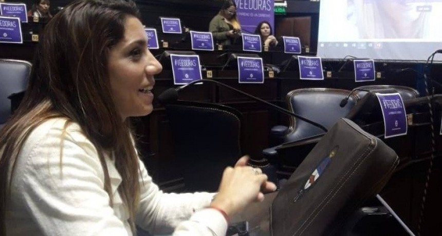 Diputada Galán: “Ninguna política pública es verdadera si no se le asigna presupuesto. Por eso presenté el proyecto de Presupuesto con perspectiva de género”