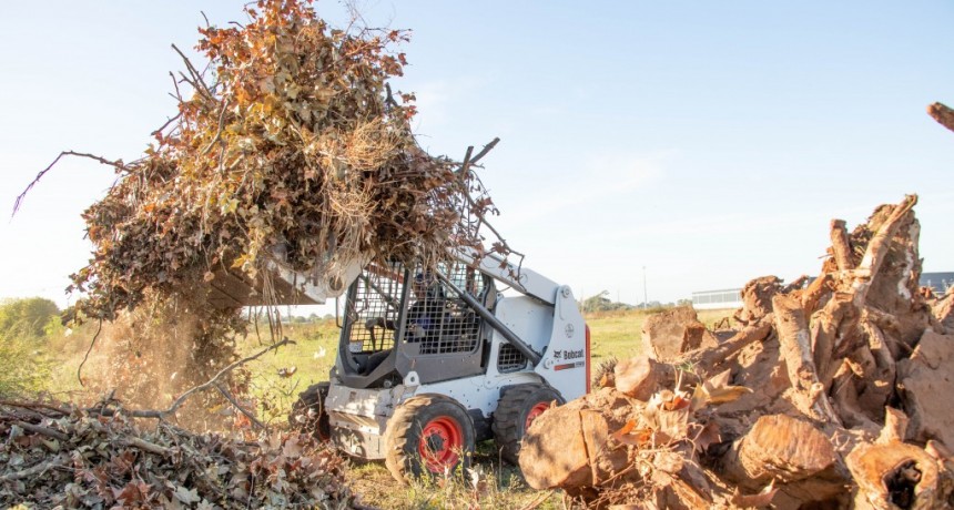 Junín: Trabajo integral de limpieza y mantenimiento en barrio San Jorge 