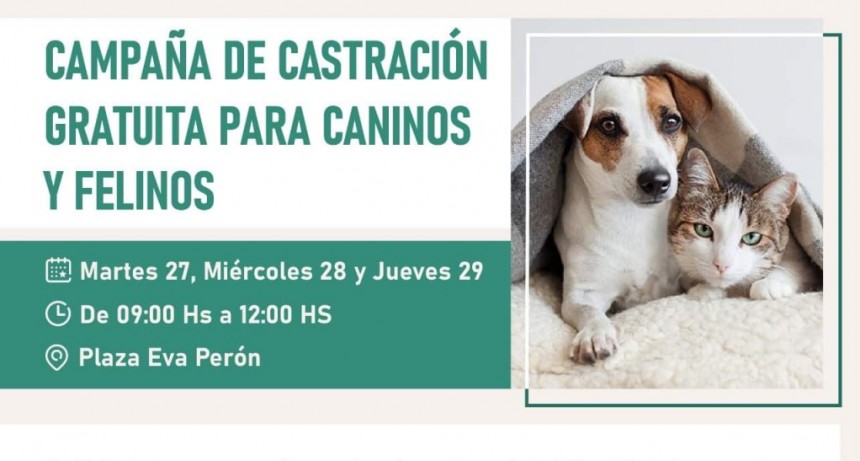 Roque Pérez: Castración gratuita en el Hogar canino Municipal
