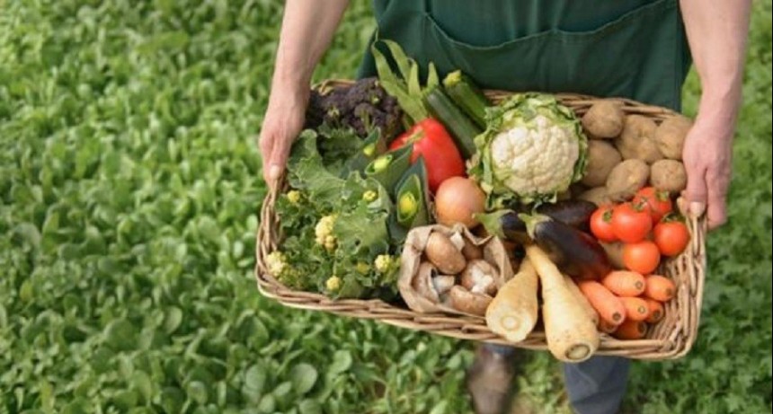 Aníbal Duarte: “La importancia de la agricultura familiar está dada en que producen el 70% de los alimentos que llegan a la mesa de los argentinos”