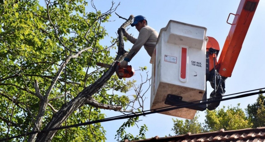 Hurlingham: El Municipio presentó el nuevo programa de poda