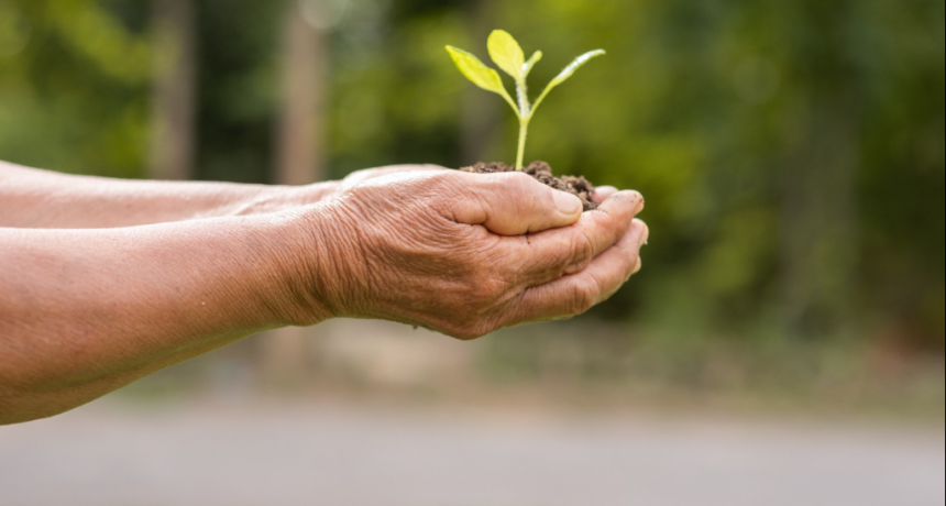 La Matanza: La comunidad y Municipio se unen para proteger la Reserva Natural de Ciudad Evita del da&ntilde;o ambiental
