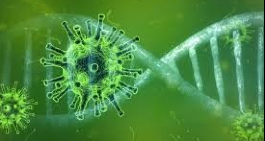 Berisso: se descartaron 4 casos y se registraron 4 sospechosos  