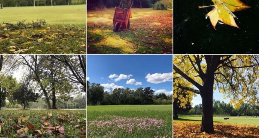 Campana: El Municipio invita a votar la fotografía más linda de la ciudad en otoño