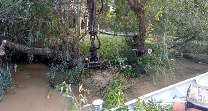 Tigre: El Municipio profundiza los trabajos de destronque y reparación de muelles, puentes y luminarias