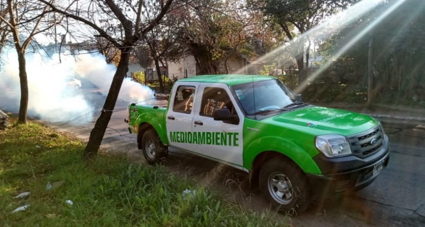 E. Echeverría: Equipos Municipales realizaron tareas de fumigación en el distrito 