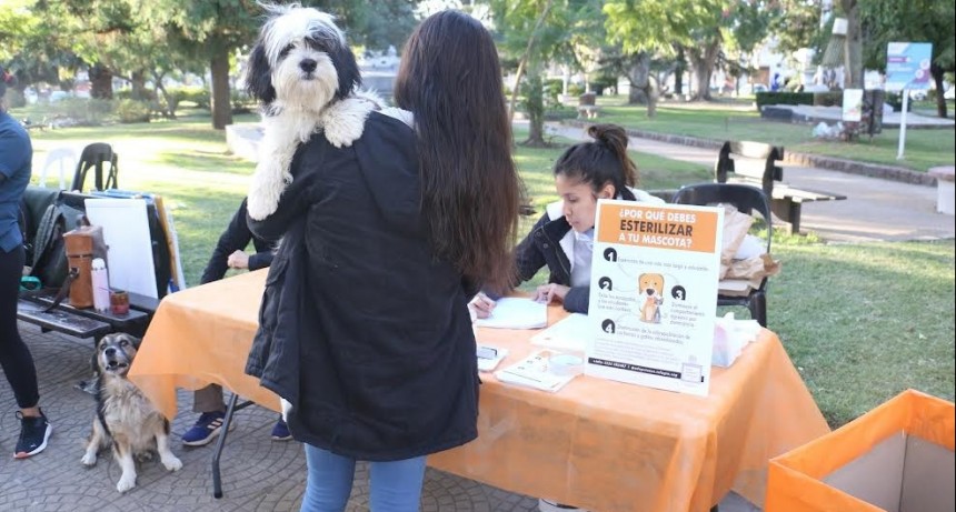 S. A. de Giles: Se realizó una Jornada por el Día del Animal en plaza San Martín