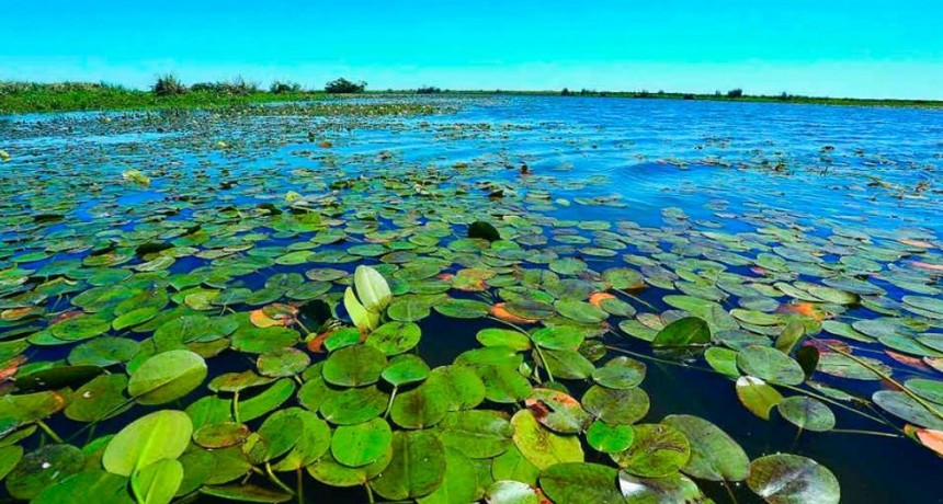 Corrientes: Valdés impulsa el inventario Provincial de Humedales
