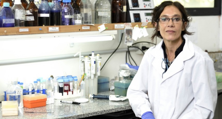 Daniela Hozbor: “Que Argentina este preocupada en diseñar, producir y tener vacunas para enfermedades tan contagiosas y de impacto en la sociedad, es una excelente noticia”