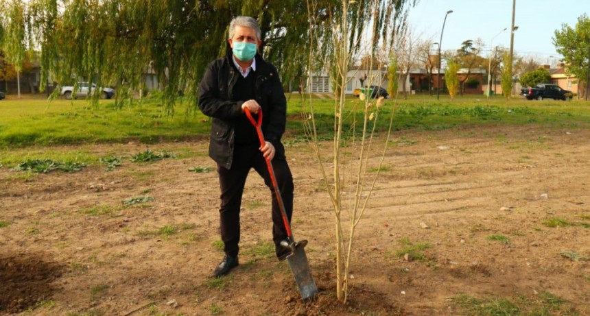 Pergamino: Se realizó la plantación del árbol fundacional del Parque Belgrano 