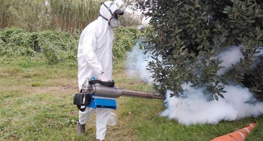 Berisso: Avanzan los trabajos de desinfección y fumigación en la ciudad 