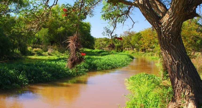 Blanca Osuna: “El proyecto de ampliación del Parque Nacional Pre-Delta es una apuesta al cuidado de los humedales”