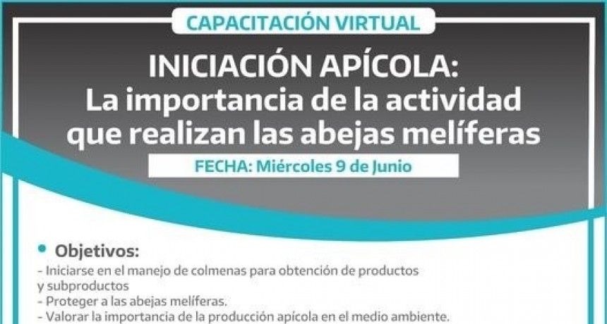 Lezama: Cuero virtual de iniciación apícola 