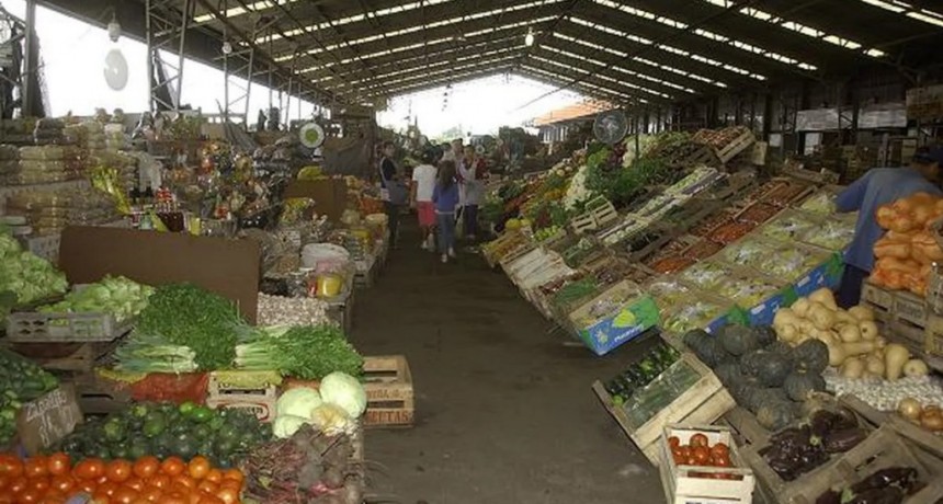 Fabián Zeta (COMAFRU): “Las autoridades del Mercado Central son los responsables de entregar la mercadería en pésimo estado a los comedores”