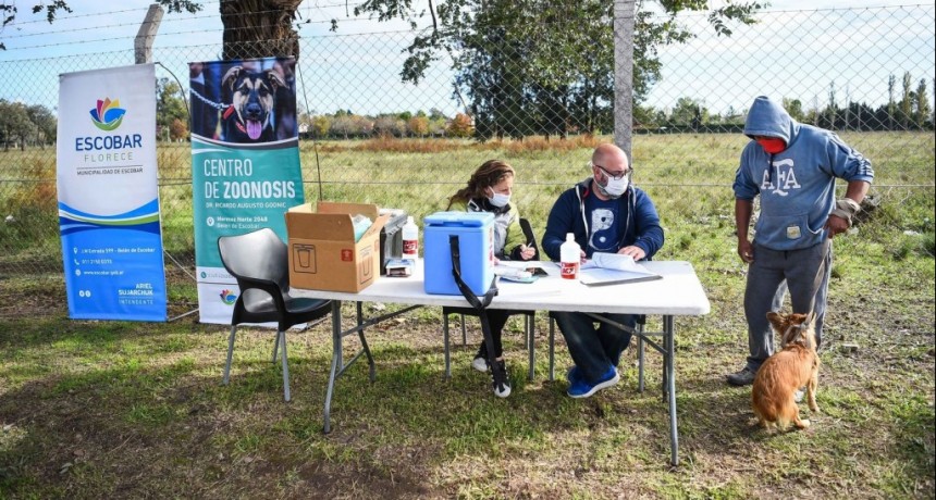 Escobar: Más de 1300 mascotas ya recibieron la vacuna antirrábica durante la primera semana de la campaña anual