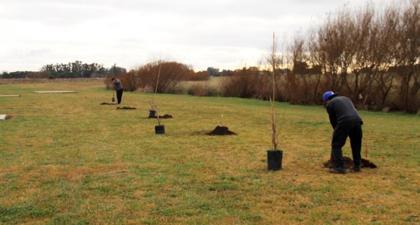 Lobería: Paseo a la Ribera del Arroyo 