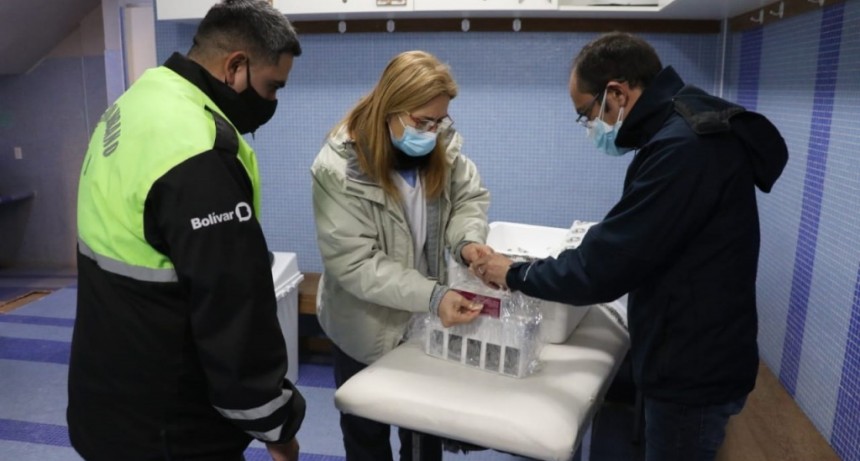 Bolívar: Llegaron 1.200 primeras dosis de AZTRASENECA para continuar con la campaña de vacunación 