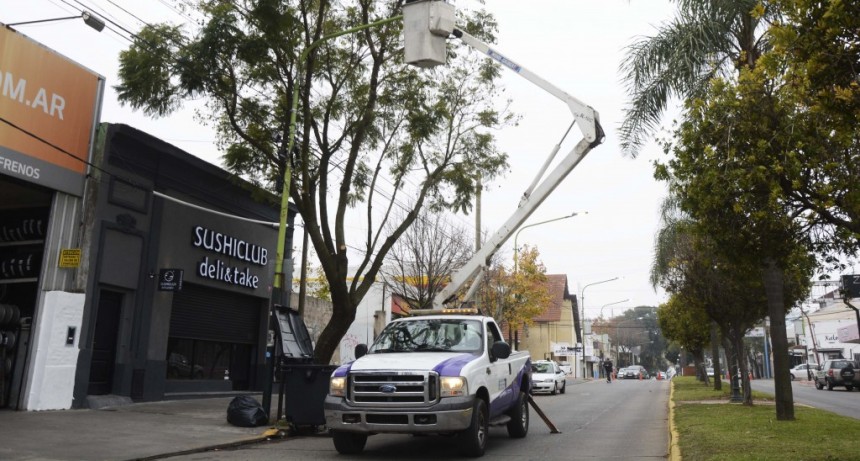 Campana: Comenzó la reconversión LED de la avenida Varela