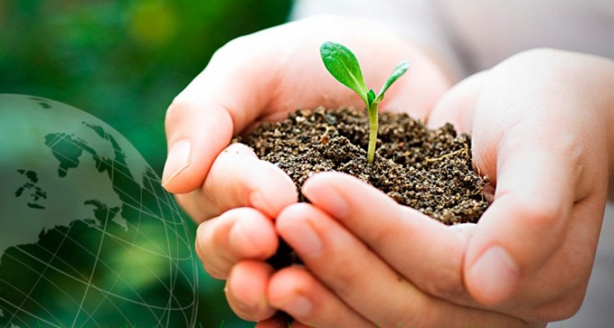 Moreno: La Secundaria N°2 fue seleccionada para la Feria Internacional Ecociencia 2022 