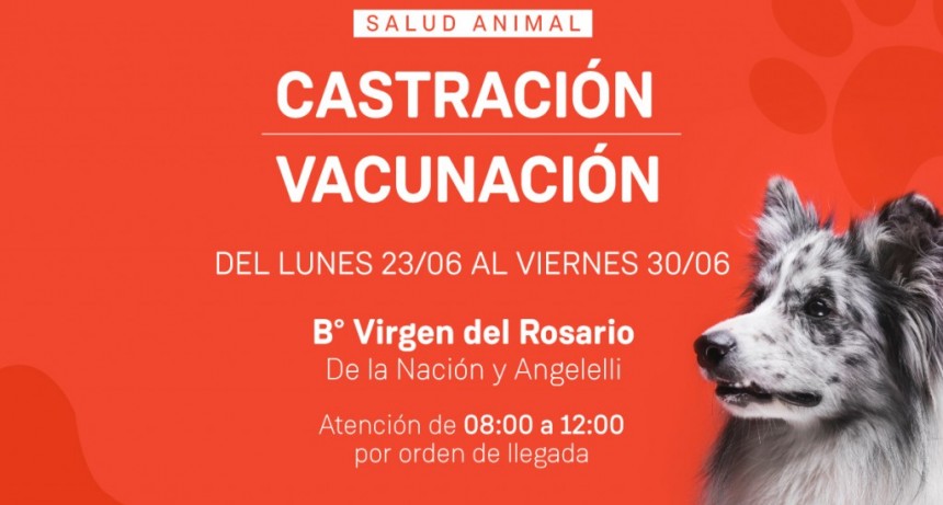 San Nicolás: Se realizaran castraciones y vacunaciones gratuitas en el distrito 