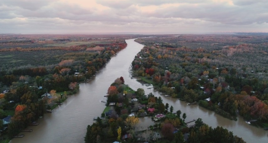 Tigre: El Municipio celebra el Día Mundial del Ambiente    