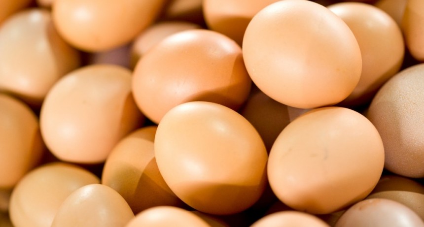 La Argentina retoma el comercio de productos de origen aviar a Chile