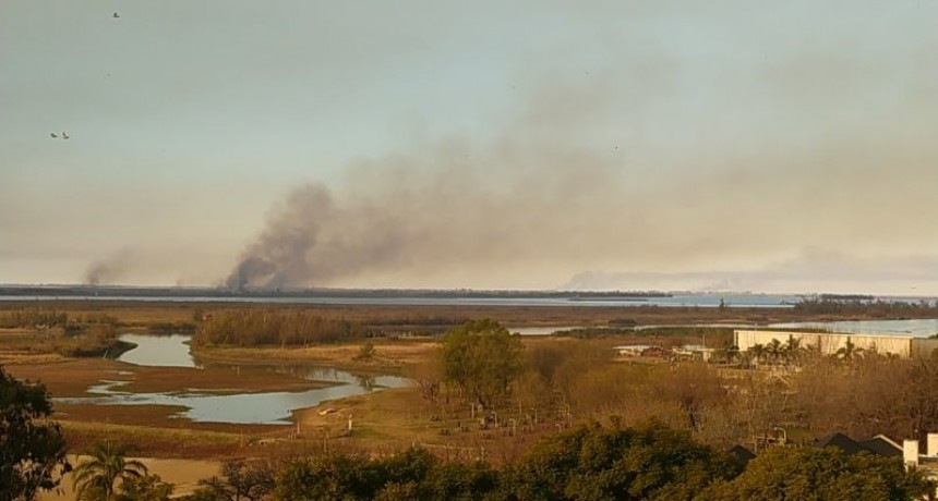 San Pedro: La Municipalidad presentó una denuncia por los incendios en las islas 