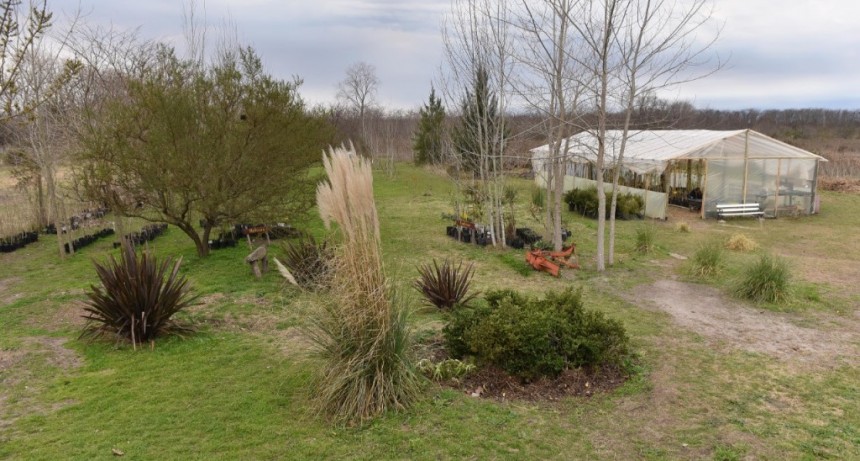 La Plata: Renuevan el Vivero municipal para producir el 100% de las especies forestales de la ciudad 