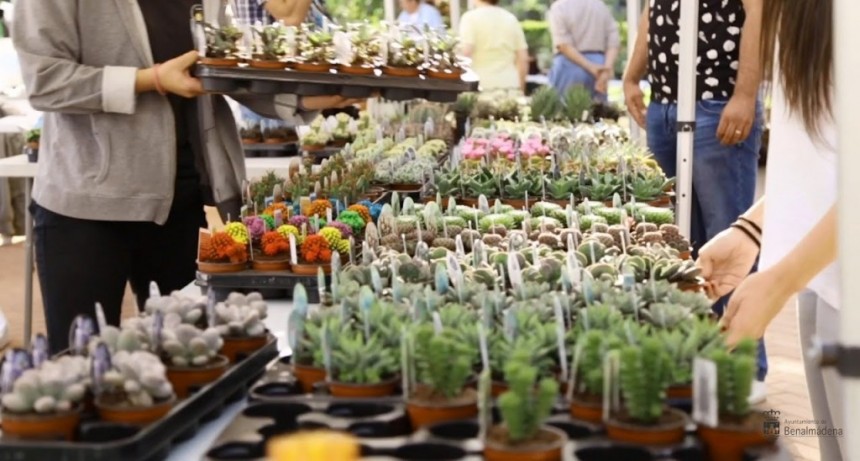 Lanús: El Municipio realizó el “Buenos Aires Green Expo Vivero” para los vecinos del distrito